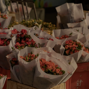 色天使另类老肥妇
